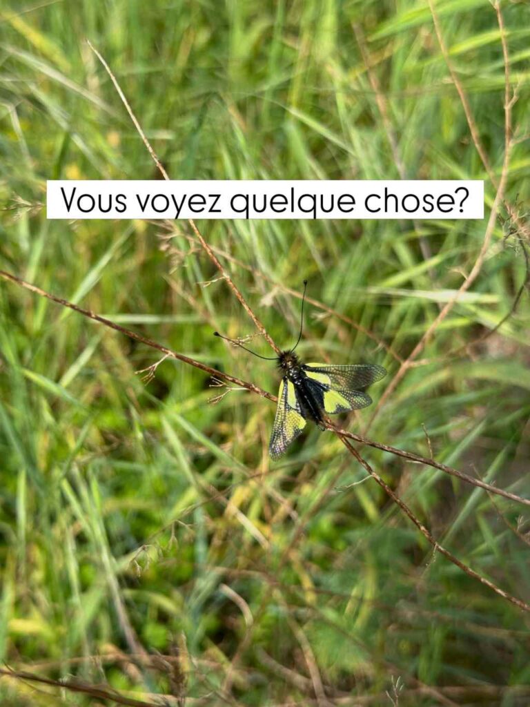 Vanissa dans la box mensuelle Camepassaitparlatete