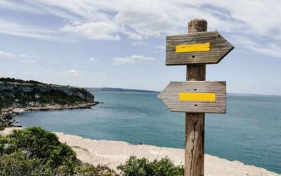 e-commerce, les émotions contraires